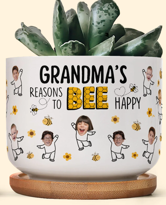 Plant Pot